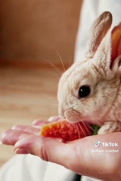 dutor.crochet on TikTok