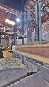 cheap wardrobe materials from this kind of wood | Sawmill & Woodworking