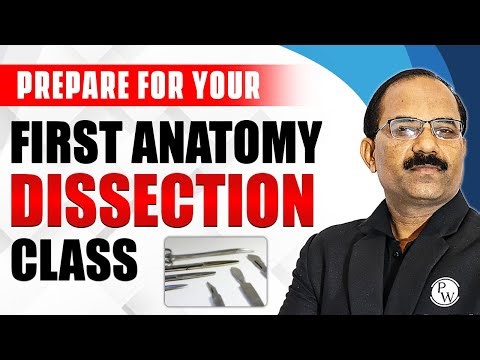How to Prepare for your first Anatomy Dissection Class