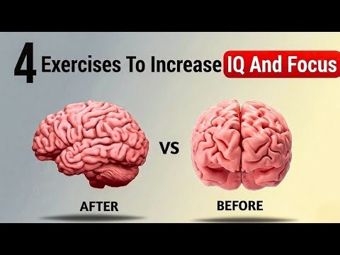 4 Powerful Brain Exercises to Increase IQ & Focus