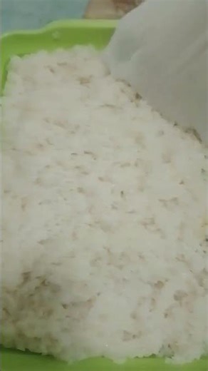 Grilled rat meat + sticky rice