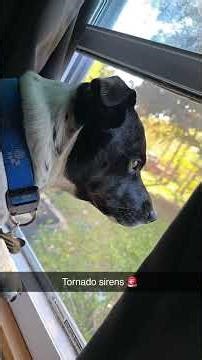 tornado sirens going off