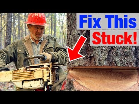 Chainsaws Stuck In a Tree? Here's the Quick Pro Fix