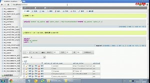 手动导入数据库视频教程