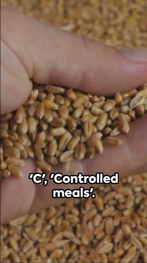 The 8 Laws of Health