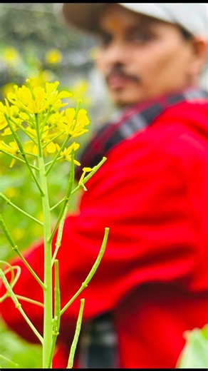 Amar Singh Thapa on Instagram: "My Garden 🌿🌵🌴🪴🍁🌹🌾 #trending #viral #expolorepage #fyp"