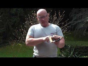 The Limit? Extreme Hi tec Slingshot