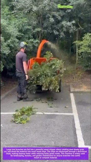 Tree Branch Chipper Machine Turns Yard Waste Into Useful Mulch Fast!