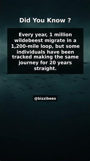 Did You Know Facts - Migration Patterns