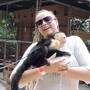 988K views · 3.7K reactions | Tips for how to make travel less tricky!  | Peachy | Facebook