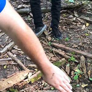 5.6K views · 77 reactions | Bug Spray Making Process #spray #bugs | How To Make Everything | Facebook