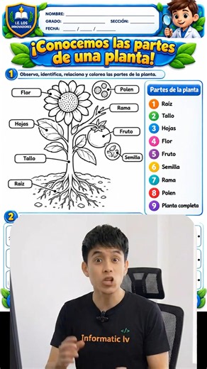 🔥 Crear Fichas para colorear