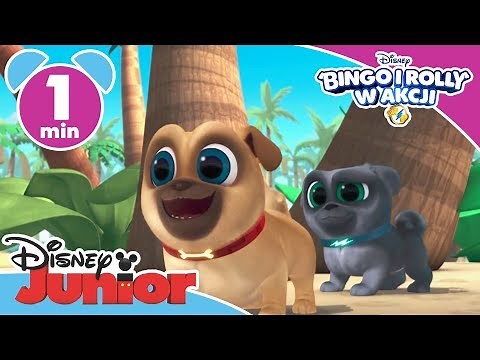 Bingo i Rolly w akcji - nowe odcinki o 16:30!
