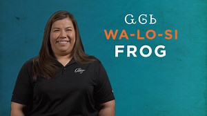 2.5K views · 354 reactions | Tomorrow is World Frog Day! The frog has great significance to the Cherokee people. The traditional story of how the frog swallowed the sun has been used to explain eclipses for generations. Now is the perfect time to learn this week’s Cherokee word for “frog.” | Visit Cherokee Nation | Facebook