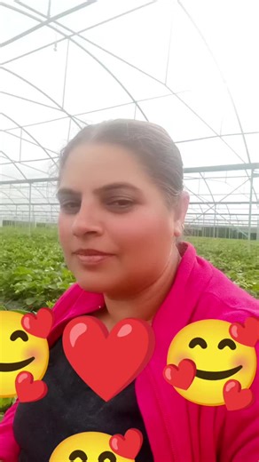 Sandy (@sandy2ss2)’s videos with original sound - Sharan kaur