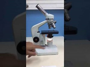Utilisation du microscope optique et légendes pour les 6ème