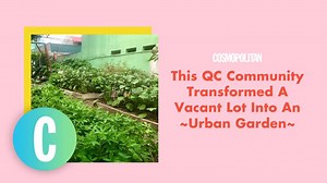 83K views · 2.5K reactions | They all share the produce and anyone from the community can take what they need, when they need it! | Cosmopolitan Philippines | Facebook