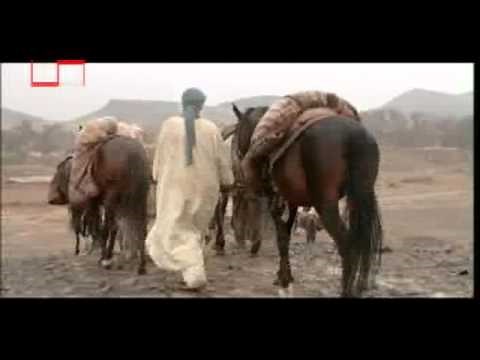 Seyx Behai 8 Iran filmi