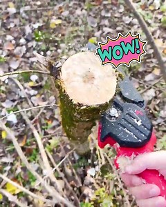 Obstrihávanie stromov je jednoduché, keď nemajú listy 퐔퐫퐨퐛퐭퐞 퐭퐨 퐧퐚 퐣퐞퐬퐞퐧̌ ✨ Presný a efektívny rez.  100 rezov na jedno nabitie. ✅ Rýchlo prereže hrubé kusy. Motorová píla 푩풓풆풏풄풉풊풆 https://top.vigoshop.sk/brenchie/t2/v178/lp3?sp=7735i997 | Vigoshop.sk | Facebook