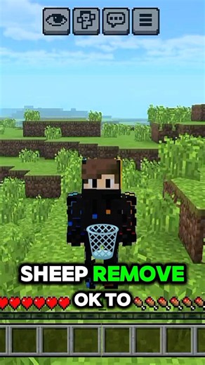 Minecraft but you can remove everything #Minecraft #shortvideo #shorts #trending