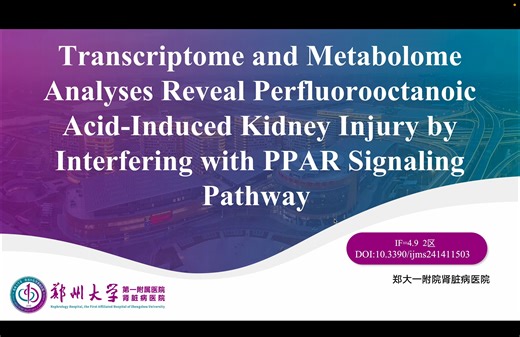 Transcriptome and Metabolome Analyses Reveal Perfluorooctanoic Acid-Induced Kidn