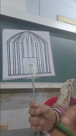 PERSISTENCE OF VISION, CLASS 8