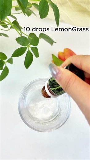 DIY Mosquito Repellent Spray Blend