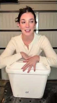 Do these cats have homes? Probably. Are we still building... #Shorts #thegetaway.girl