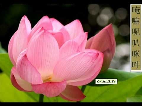 六字大明咒 --- 大慈大悲观世音菩萨咒