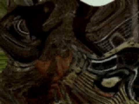 Cold Cut-Timber