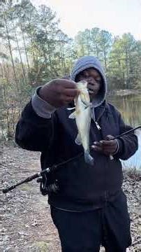 Catch clean and cook this bass with me and watch to the end for the review!