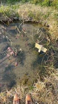 のどかな野原や住宅を眺めながら、人生は特別な場所にあるのではなく、こうした何気ない自然の中にこそあるのだと、あらためて感じる。 2026年3月22日