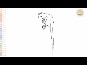 Tree kangaroo drawing easy | Art tutorial | How to draw Tree-kangaroo step by step | #artjanag