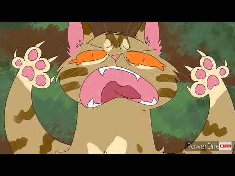 Warrior Cats Memes (Compilation #2)