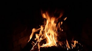 Fireplace Stock Footage Video (100% Royalty-free) 9176648 | Shutterstock