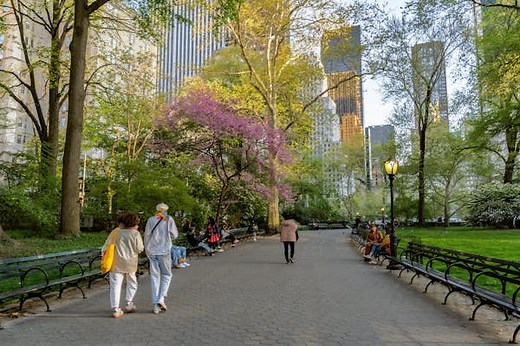 Try 15 of the best things to do in New York City