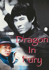 Dragon in Fury (2004)