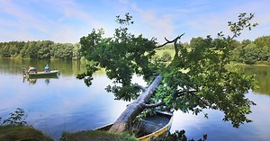 Where to fish in Wallonia