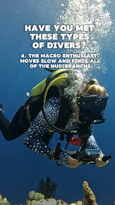 166K views · 1.5K reactions | We’ve all met one of these types of divers. Whether you're the macro enthusiast, the speed racer, or the one always getting a little lost, we’re just happy to explore our reefs together, safely and with plenty of laughs along the way. | Prodivers Maldives | Facebook
