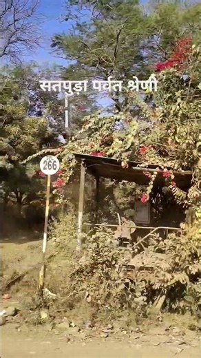 Satpura parvat forest mp India #kishorekumarsongs #todayshorts #lovemusic #ajaytechvideo