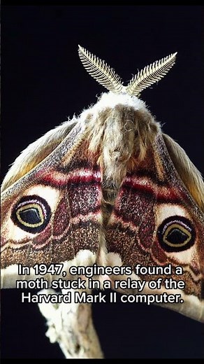 The origins of Debugging! 🦋 #stem #engineeringfacts
