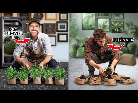 Easy Grow Tent Setup for Beginners & Scrog Growing | Scrog School Episode 19