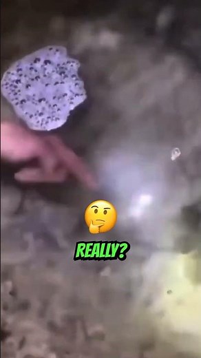 Searching TIDE POOLS for Marine Life at Night #marinelife