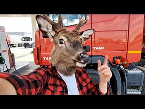 How to insert a chip card into a tachograph