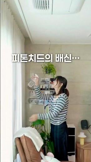 이거 모르면 알러지 유발물질 흡입하는 거예요. #탈취제 #룸스프레이 #실내탈취제 #나노클린 #나노클린화이트 #피톤치드스프레이 #냄새제거 #청소꿀템 #청소꿀팁