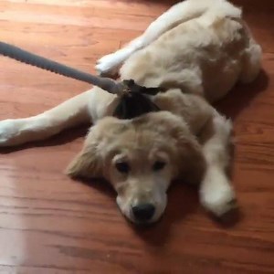 Getting out of bed on a Monday... (via Imgur) | Channel 10