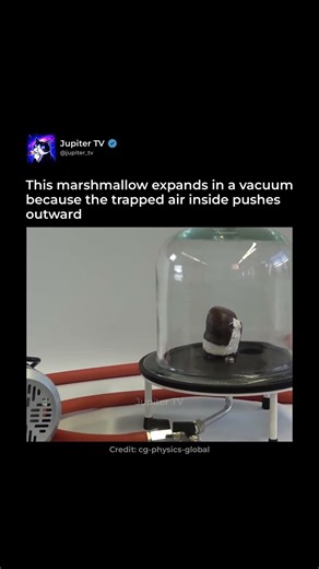 Marshmallow in a Vacuum 😮