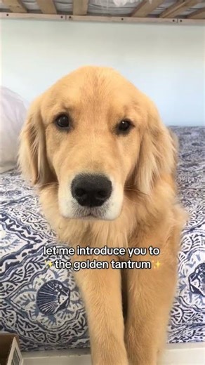 when its 5:02 and moms still sitting at her computer… am i just suppos #Shorts #fashion #dailyvlog