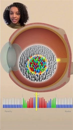 why closing one eye makes it difficult to touch the tips of two pens together? #challenge