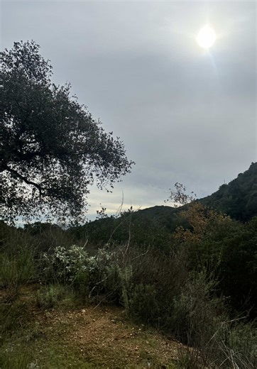 Exploring the Claremont Loop: A Guided Hiking Adventure